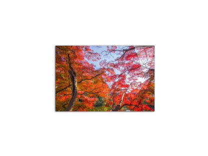autunnoas92358-#materiale_CrystalArt/dimensioni_50x33,33