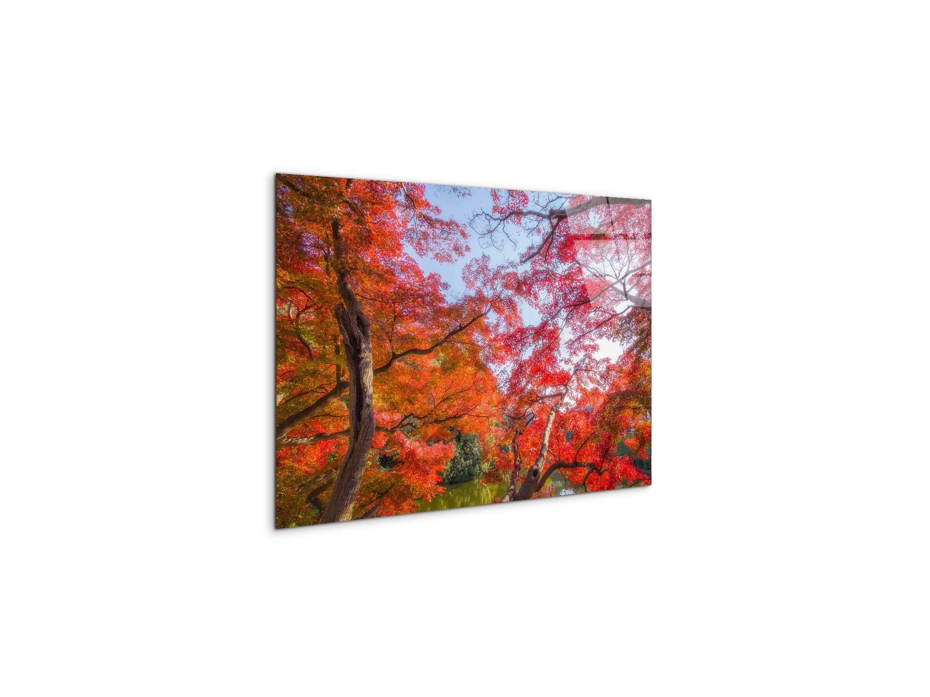 autunnoas92358-#materiale_CrystalArt/dimensioni_50x33,33