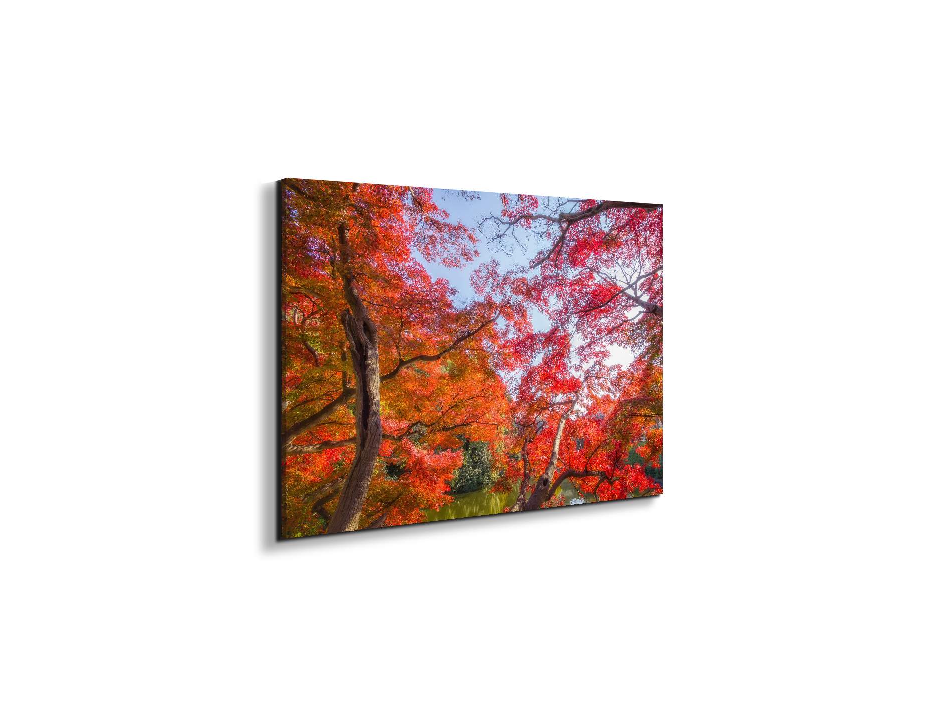 autunnoas92358-#materiale_EarthArt Gloss/dimensioni_50x33,33