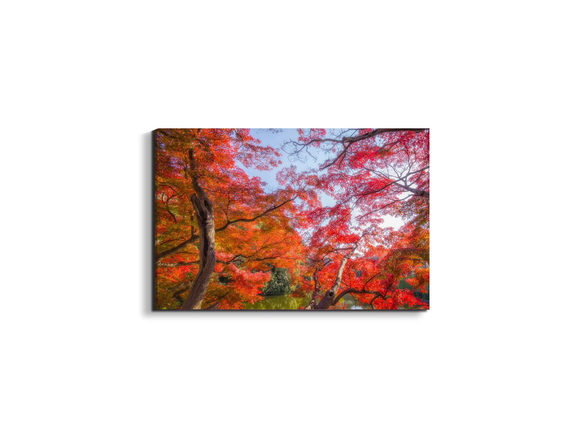 autunnoas92358-#materiale_EarthArt Materic/dimensioni_50x33,33