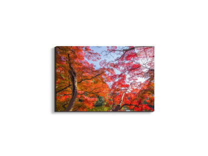 autunnoas92358-#materiale_EarthArt Total Gloss/dimensioni_50x33,33