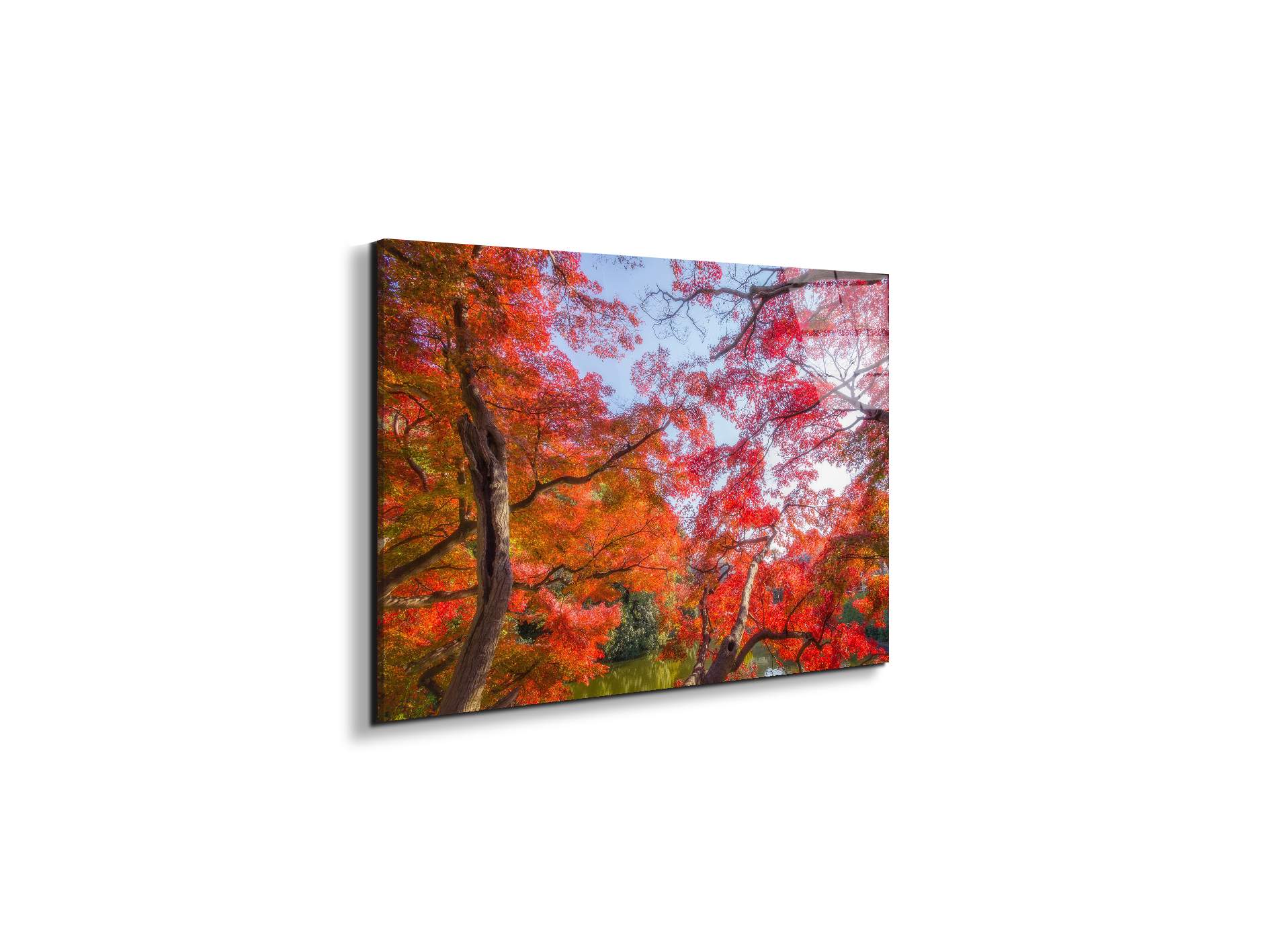 autunnoas92358-#materiale_EarthArt Total Gloss/dimensioni_50x33,33