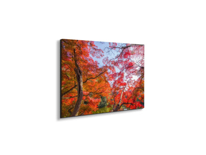 autunnoas92358-#materiale_EarthArt Total Gloss/dimensioni_50x33,33