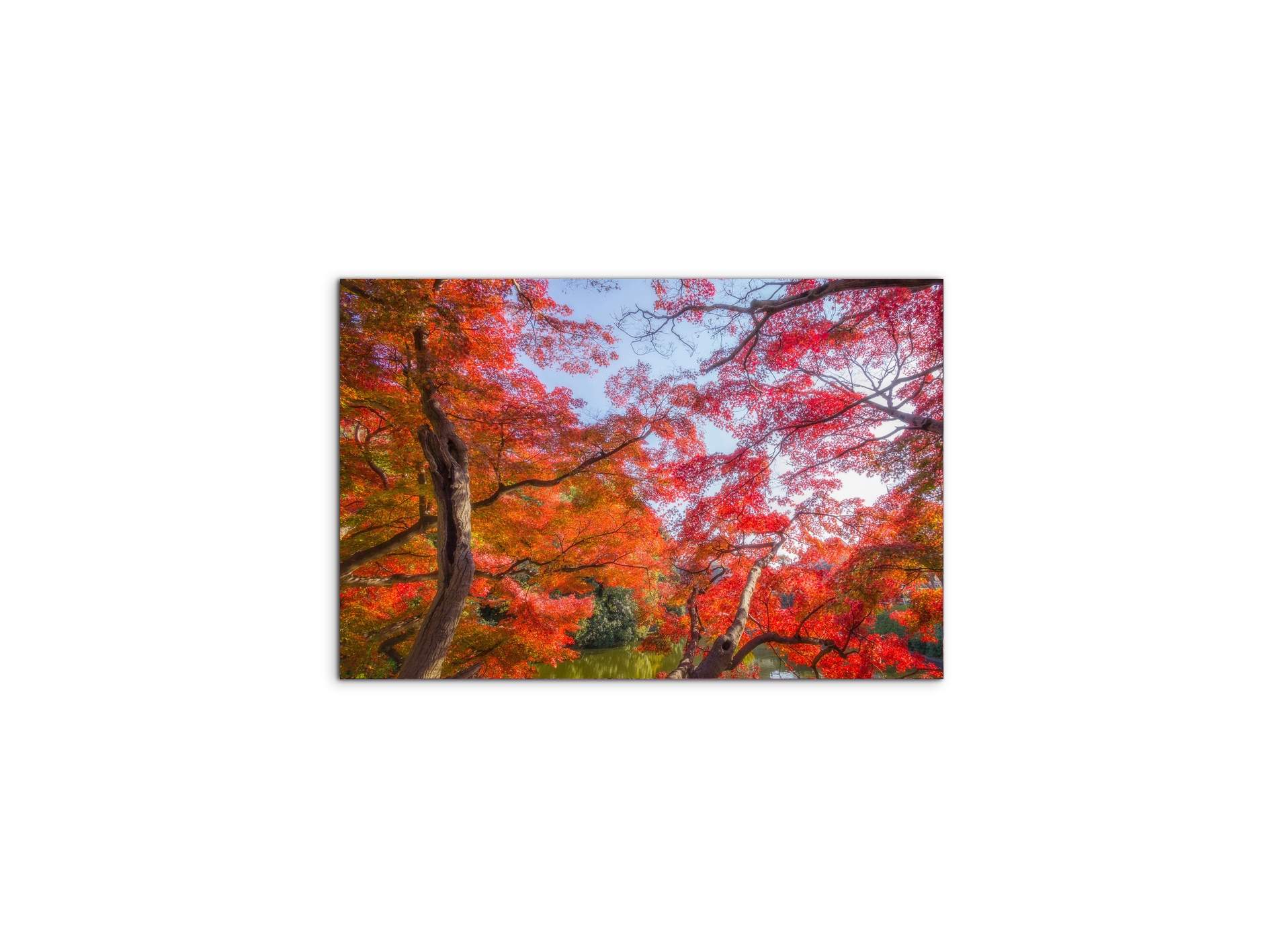 autunnoas92358-#materiale_MetalArt Gloss/dimensioni_50x33,33