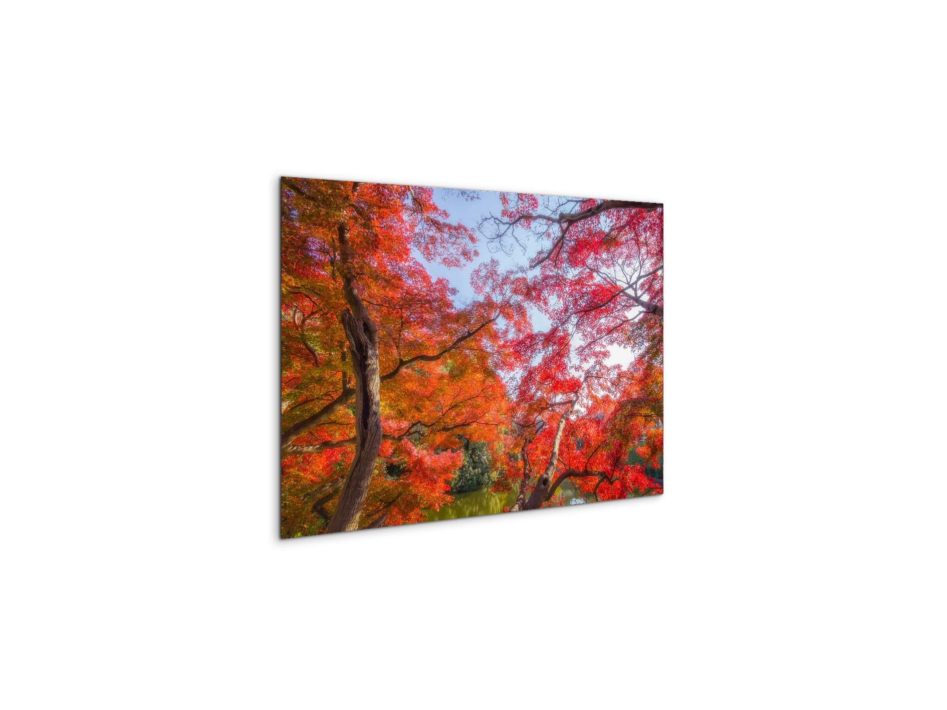 autunnoas92358-#materiale_MetalArt Gloss/dimensioni_50x33,33