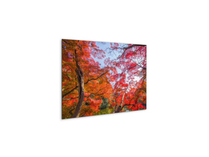 autunnoas92358-#materiale_MetalArt Gloss/dimensioni_50x33,33