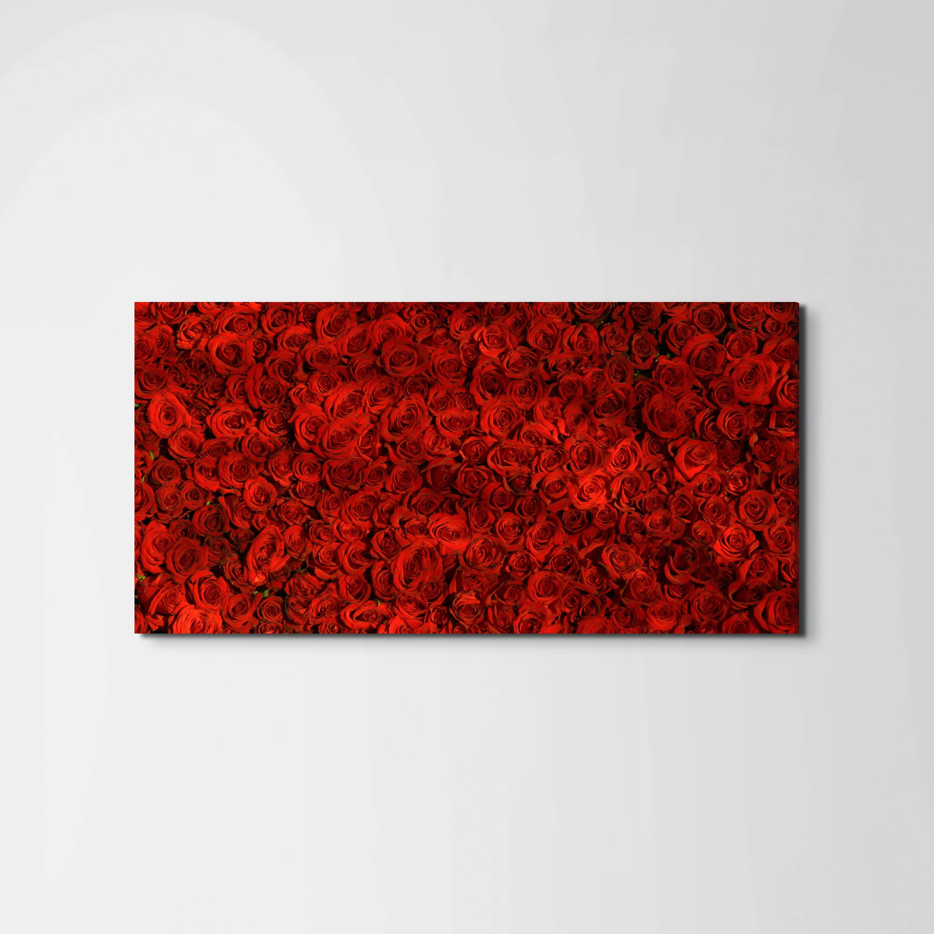 red-rosesas92367-#materiale_EarthArt/dimensioni_100x50