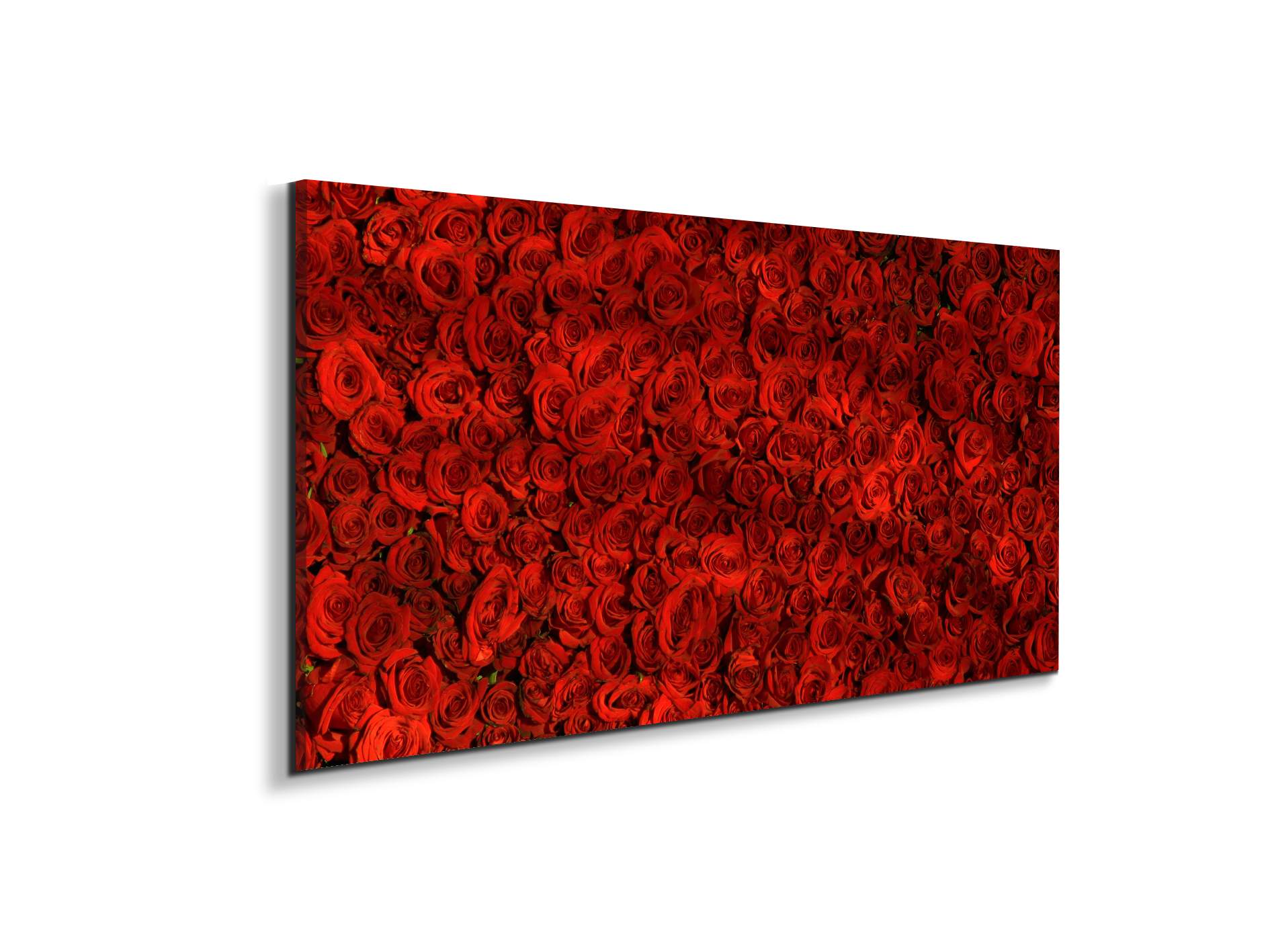 red-rosesas92367-#materiale_EarthArt/dimensioni_100x50