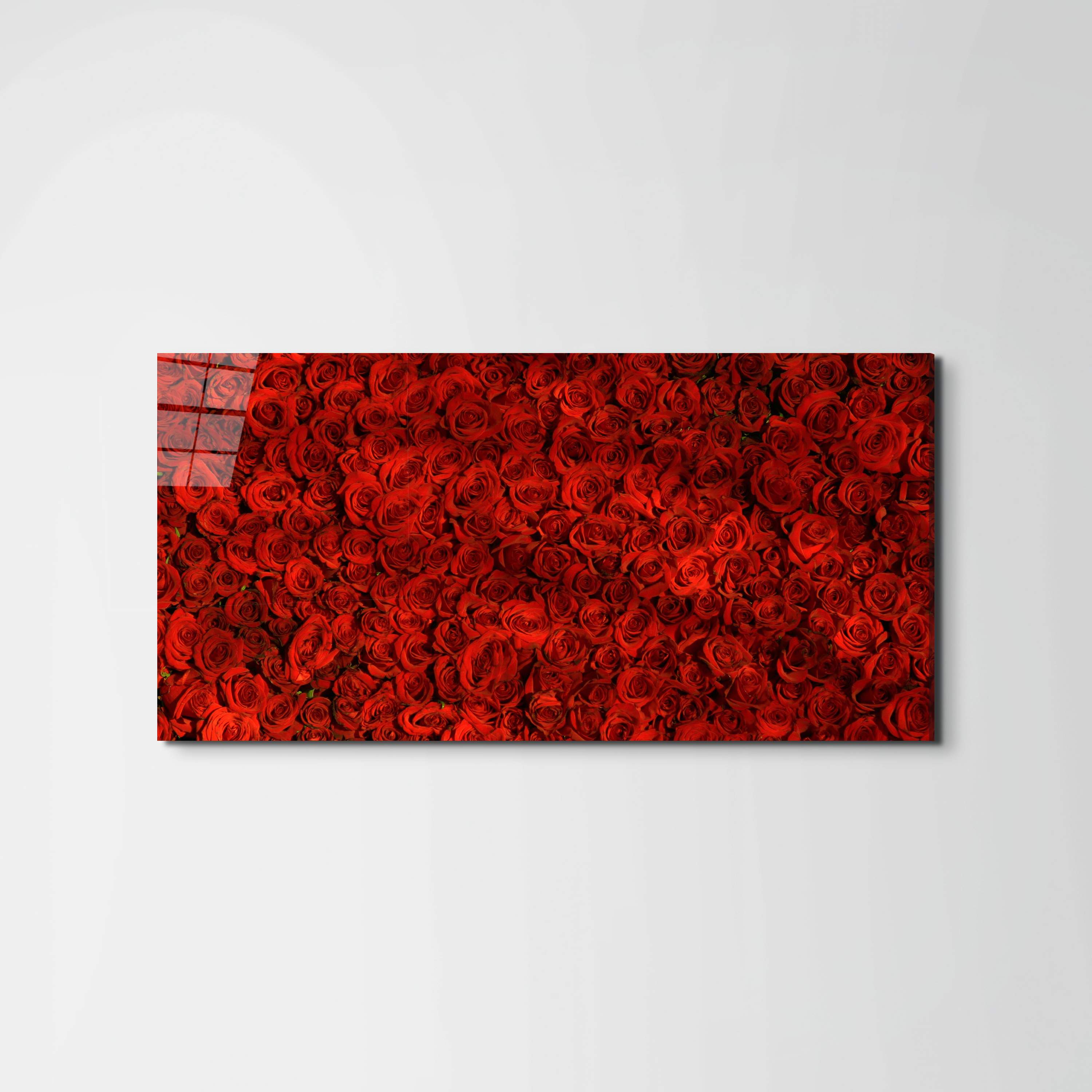 red-rosesas92367-#materiale_EarthArt Total Gloss/dimensioni_100x50