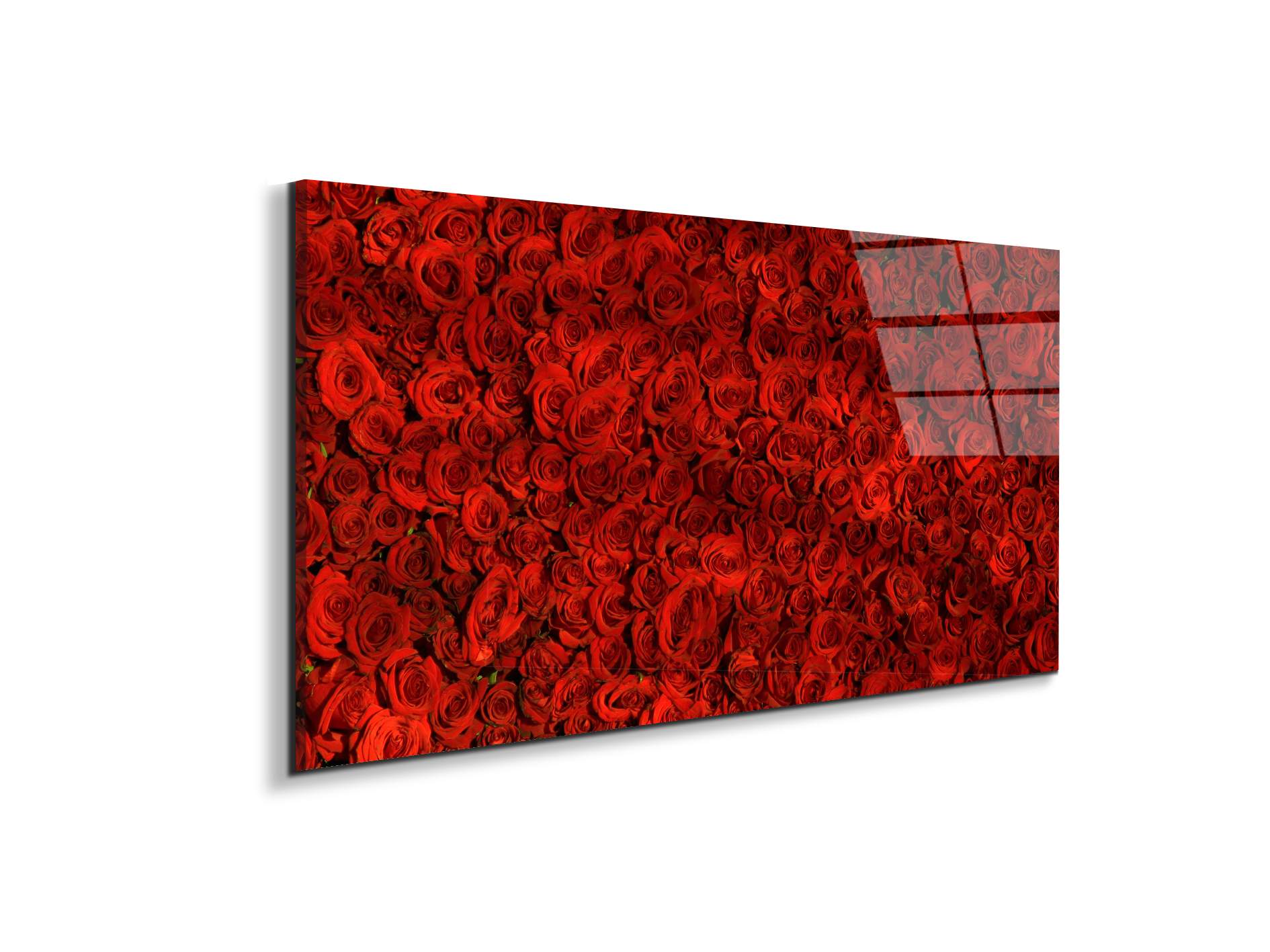red-rosesas92367-#materiale_EarthArt Total Gloss/dimensioni_100x50