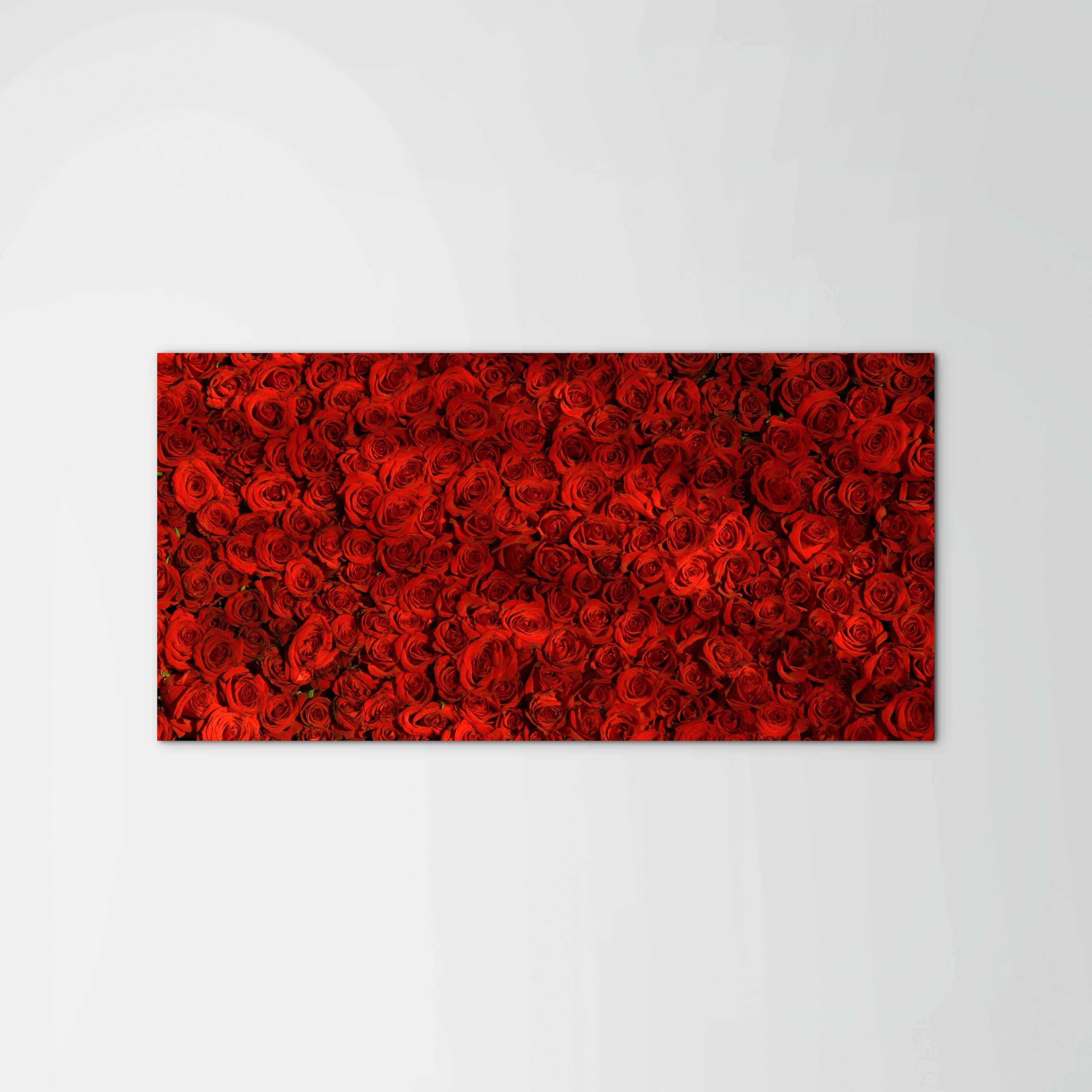 red-rosesas92367-#materiale_MetalArt Materic/dimensioni_100x50