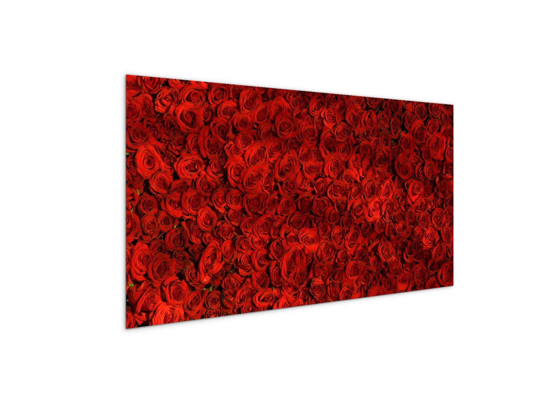 red-rosesas92367-#materiale_MetalArt Materic/dimensioni_100x50