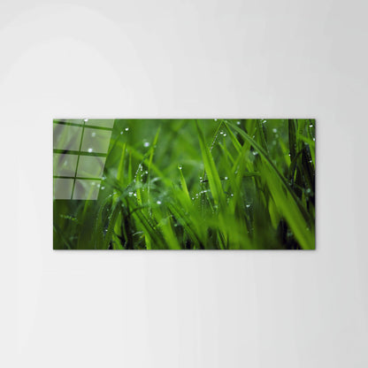 greenas92368-