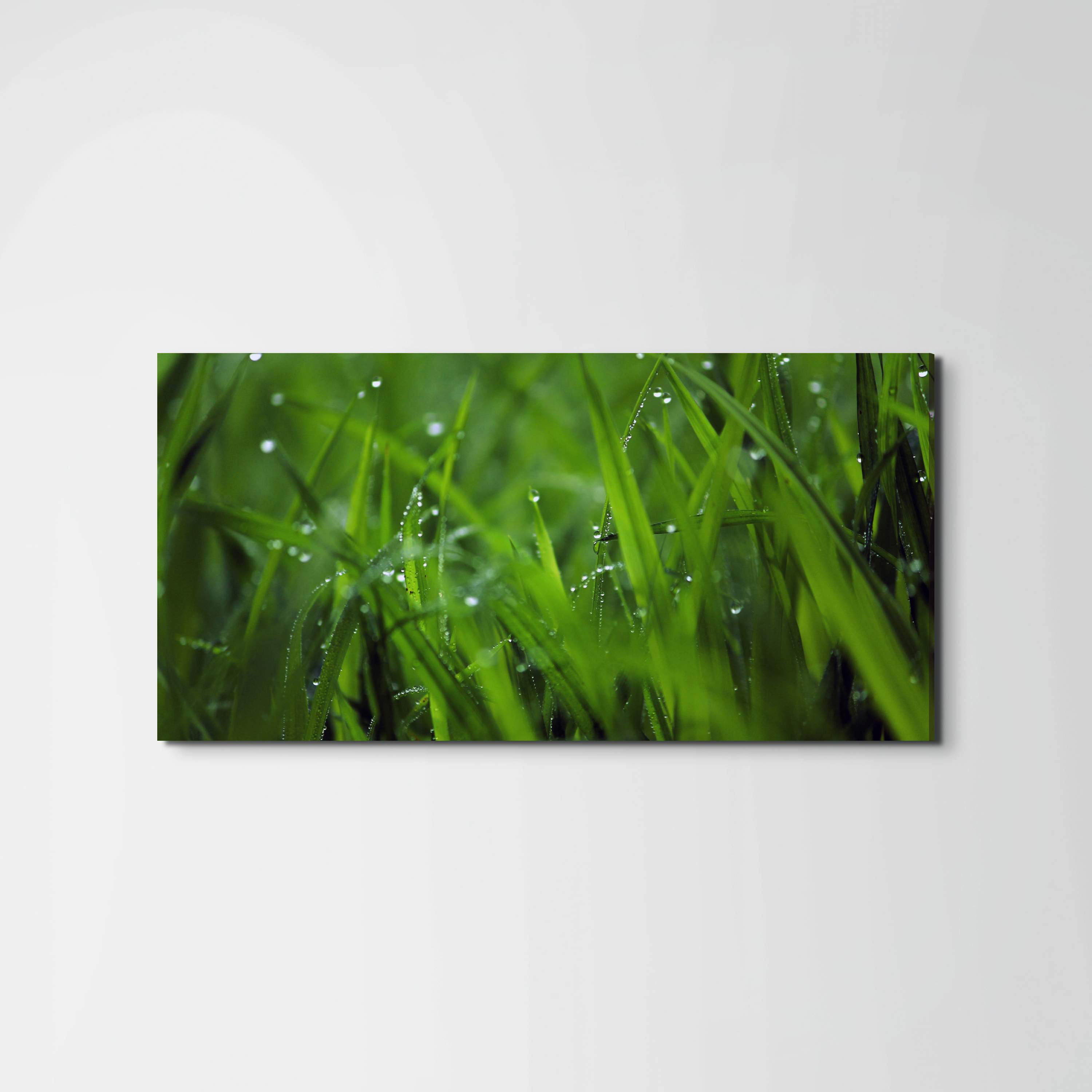 greenas92368-#materiale_EarthArt/dimensioni_100x50