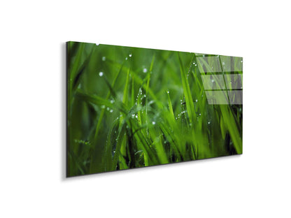 greenas92368-