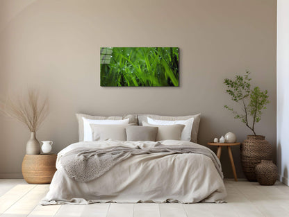 greenas92368-