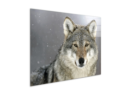 wolfas92370-#materiale_CrystalArt/dimensioni_76x57