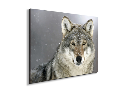 wolfas92370-#materiale_EarthArt Materic/dimensioni_76x57