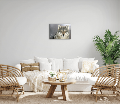 wolfas92370-#materiale_CrystalArt/dimensioni_50x37,50