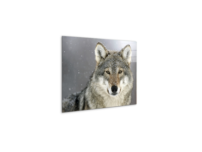wolfas92370-#materiale_CrystalArt/dimensioni_50x37,50