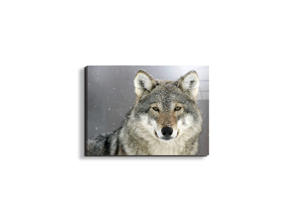 wolfas92370-#materiale_EarthArt Total Gloss/dimensioni_50x37,50