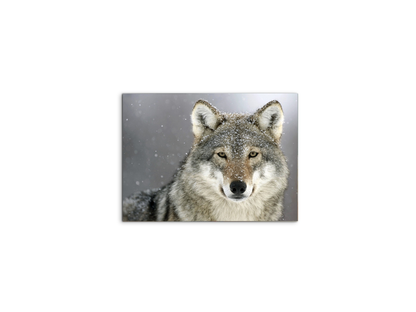 wolfas92370-#materiale_MetalArt Materic/dimensioni_50x37,50