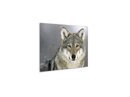 wolfas92370-#materiale_MetalArt Materic/dimensioni_50x37,50