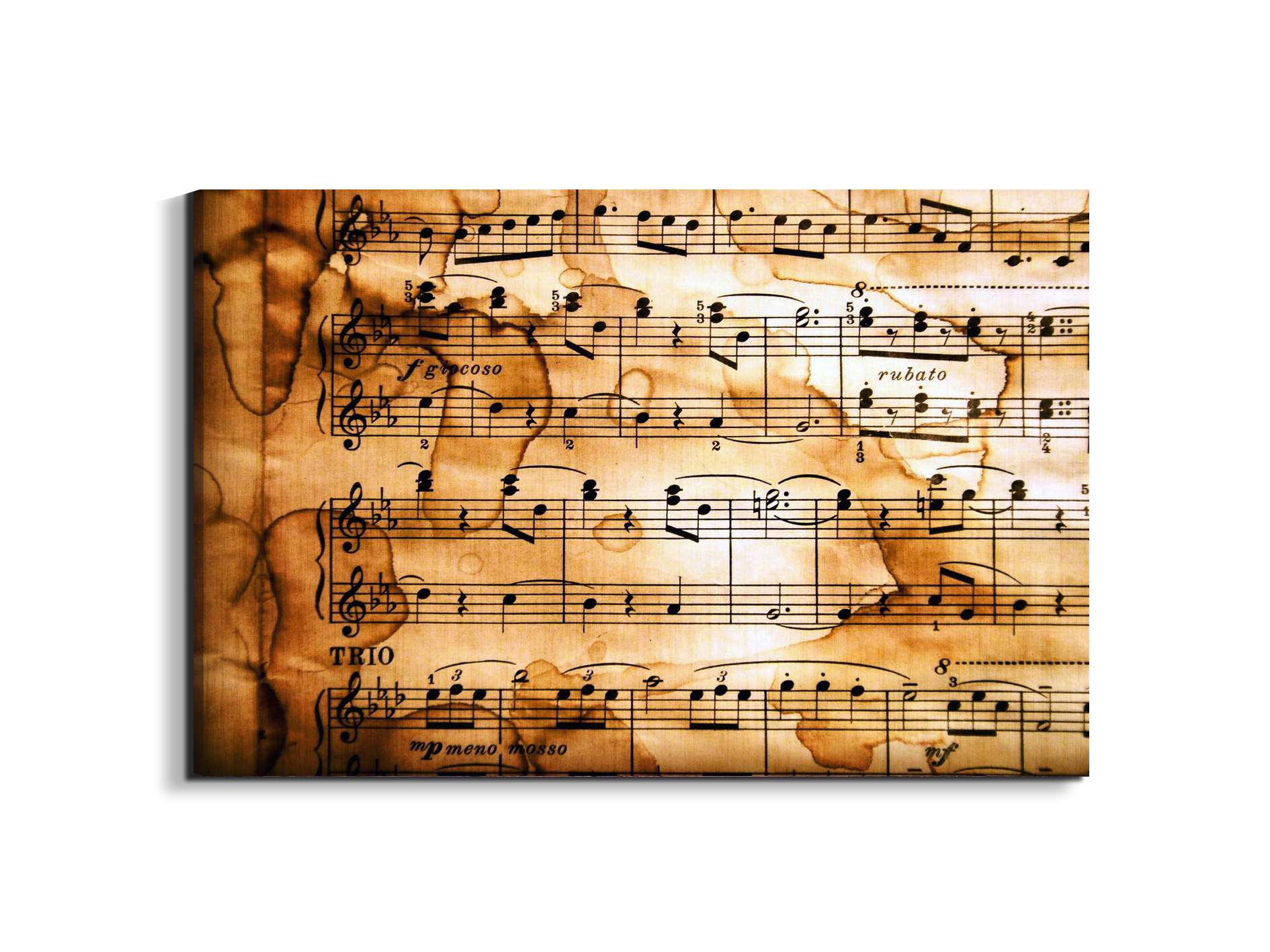musicas92380-#materiale_EarthArt/dimensioni_79,5x53