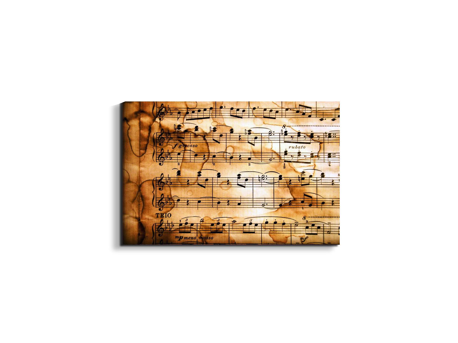 musicas92380-#materiale_EarthArt/dimensioni_50x33,33