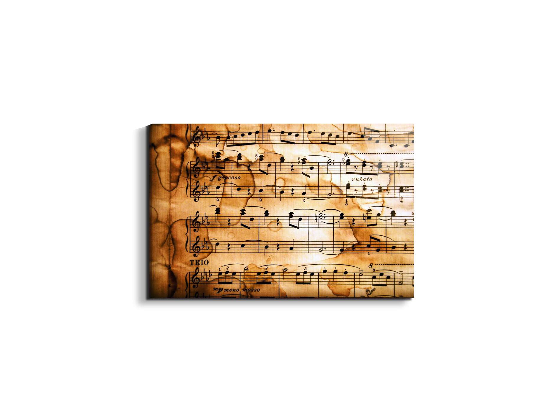 musicas92380-#materiale_EarthArt Total Gloss/dimensioni_50x33,33