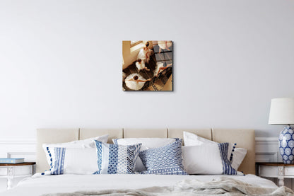 stelleas92382-#materiale_EarthArt Total Gloss/dimensioni_58x58