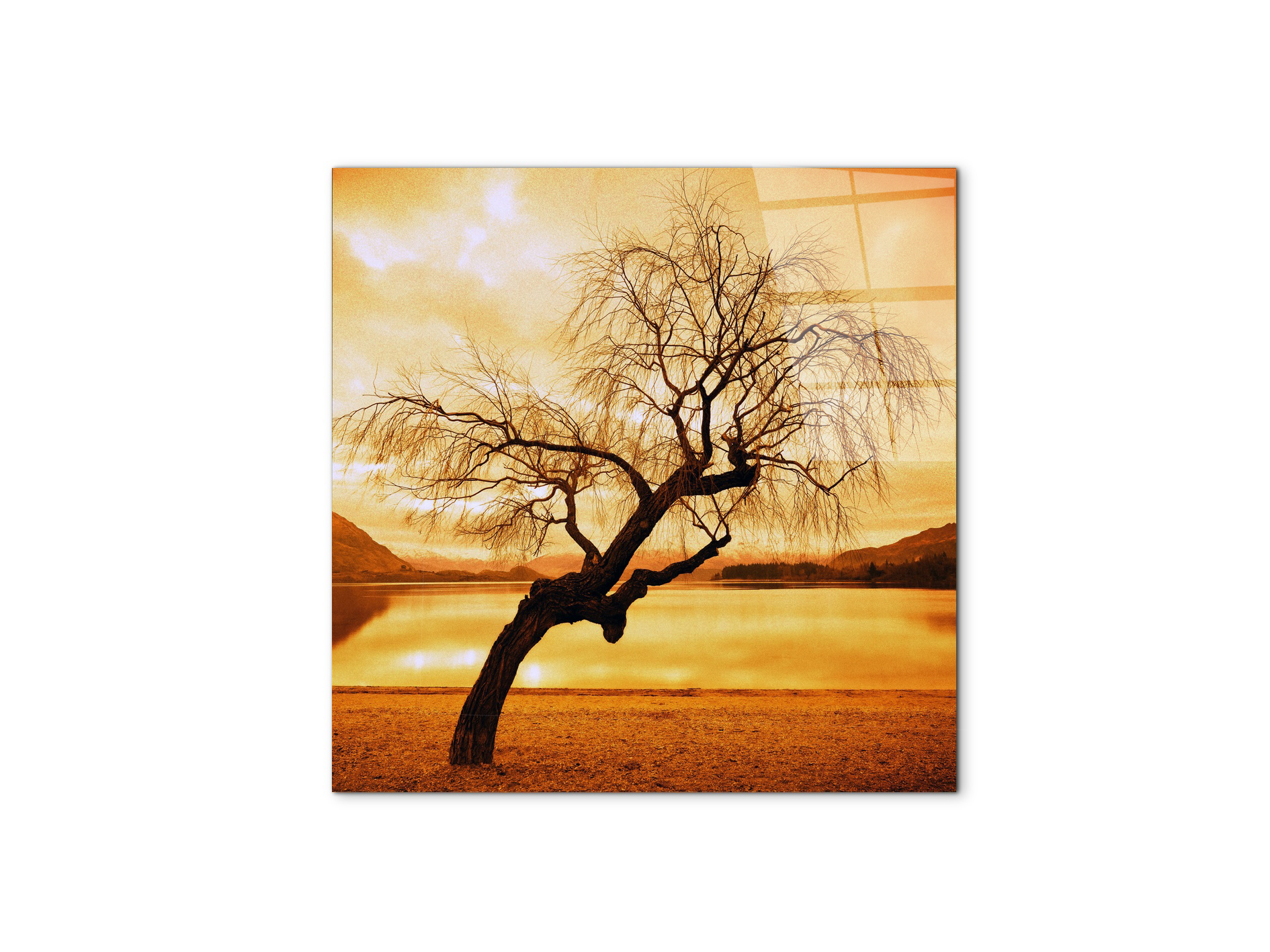 alberoas92383-#materiale_CrystalArt/dimensioni_58x58