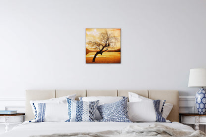 alberoas92383-#materiale_CrystalArt/dimensioni_58x58