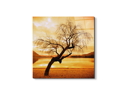 alberoas92383-#materiale_EarthArt Total Gloss/dimensioni_58x58