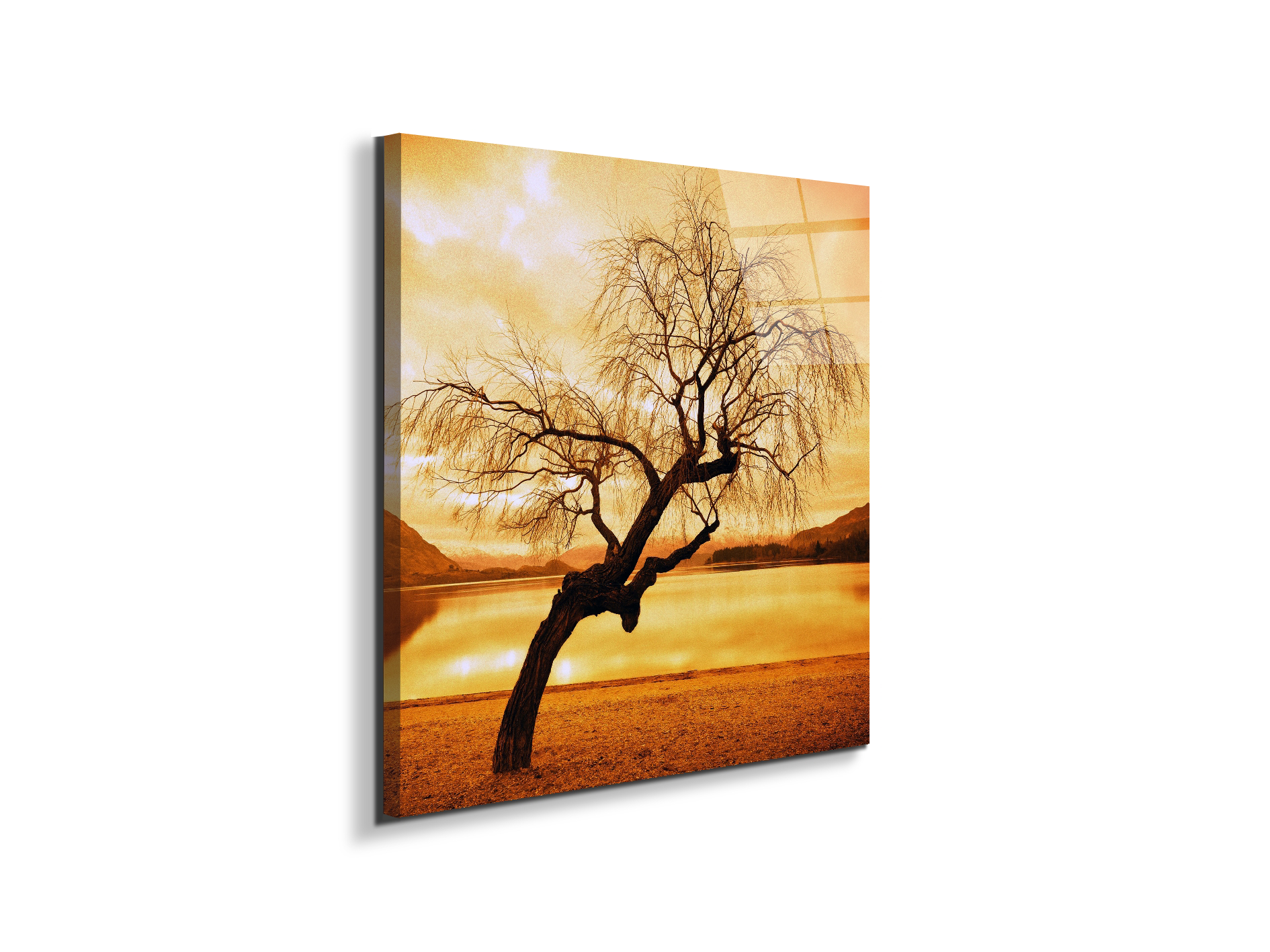 alberoas92383-#materiale_EarthArt Total Gloss/dimensioni_58x58