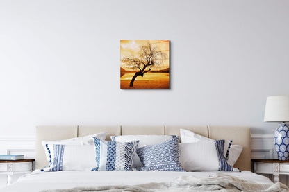 alberoas92383-#materiale_EarthArt Total Gloss/dimensioni_58x58