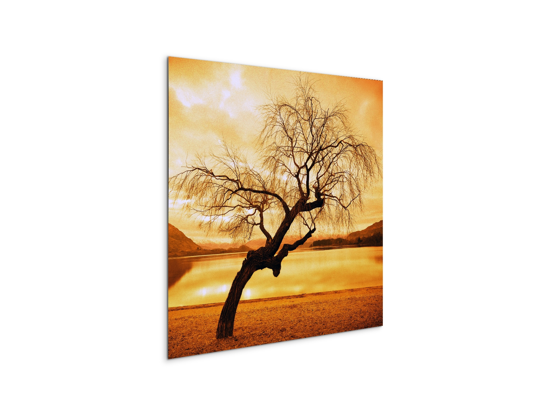 alberoas92383-#materiale_MetalArt Materic/dimensioni_58x58