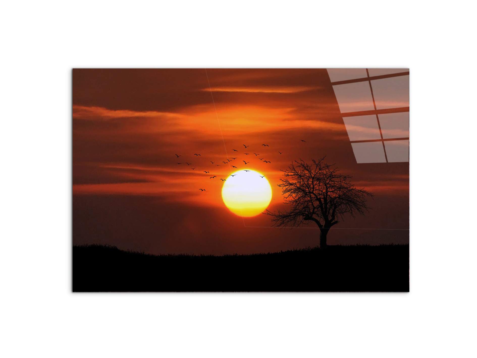 tree-in-the-sunas92447-#materiale_CrystalArt/dimensioni_79,5x53