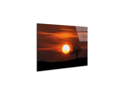 tree-in-the-sunas92447-#materiale_CrystalArt/dimensioni_50x33,33
