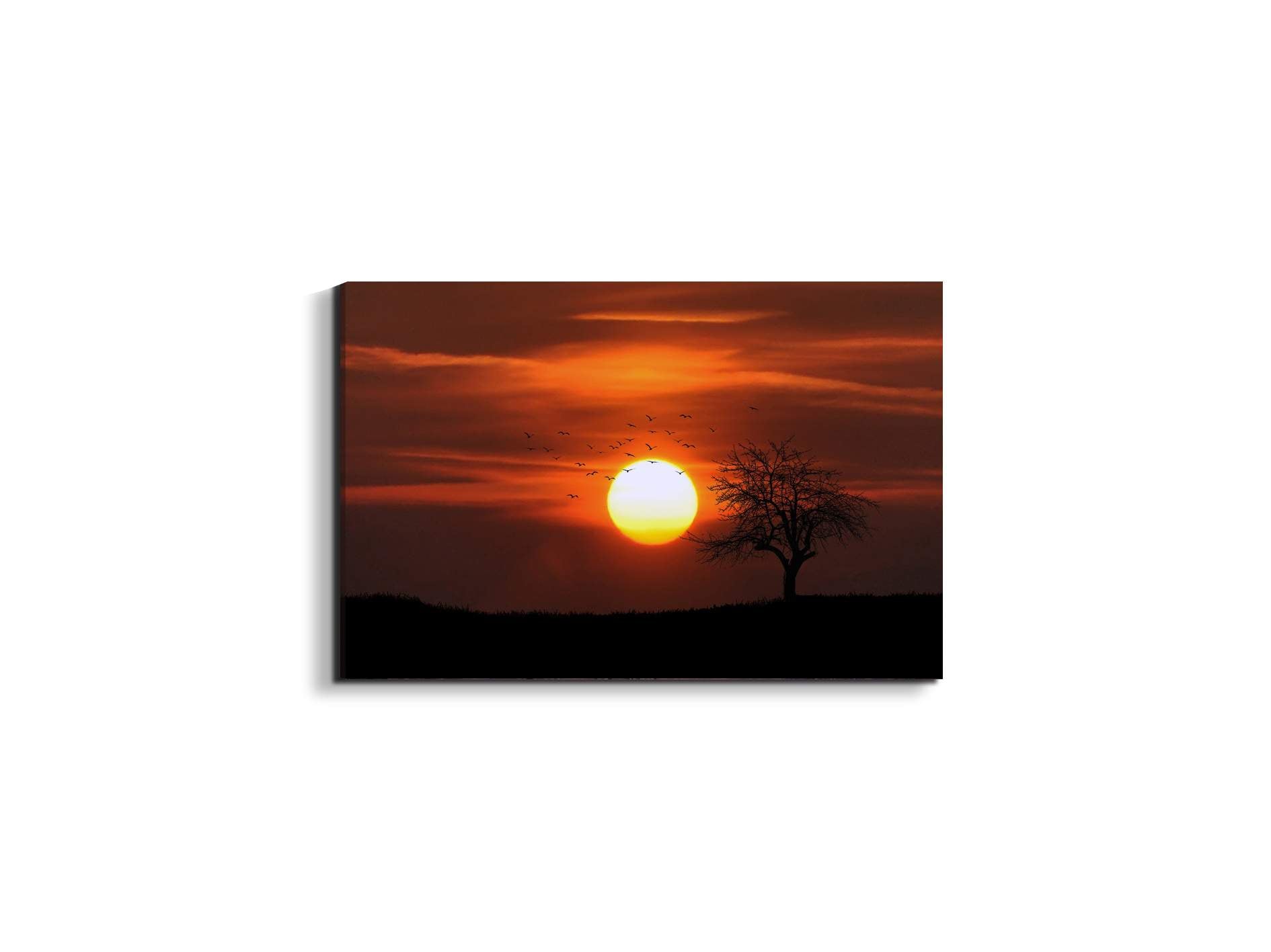 tree-in-the-sunas92447-#materiale_EarthArt Materic/dimensioni_50x33,33