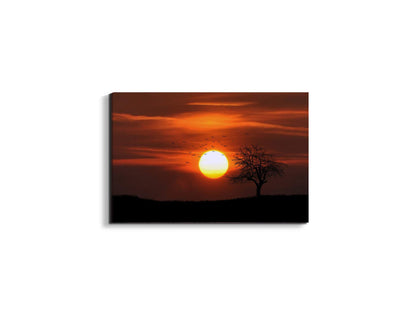 tree-in-the-sunas92447-#materiale_EarthArt Materic/dimensioni_50x33,33