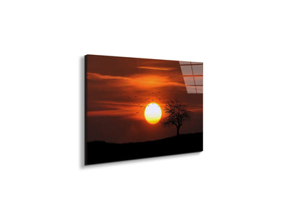 tree-in-the-sunas92447-#materiale_EarthArt Total Gloss/dimensioni_50x33,33