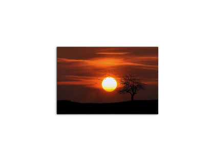 tree-in-the-sunas92447-#materiale_MetalArt Materic/dimensioni_50x33,33