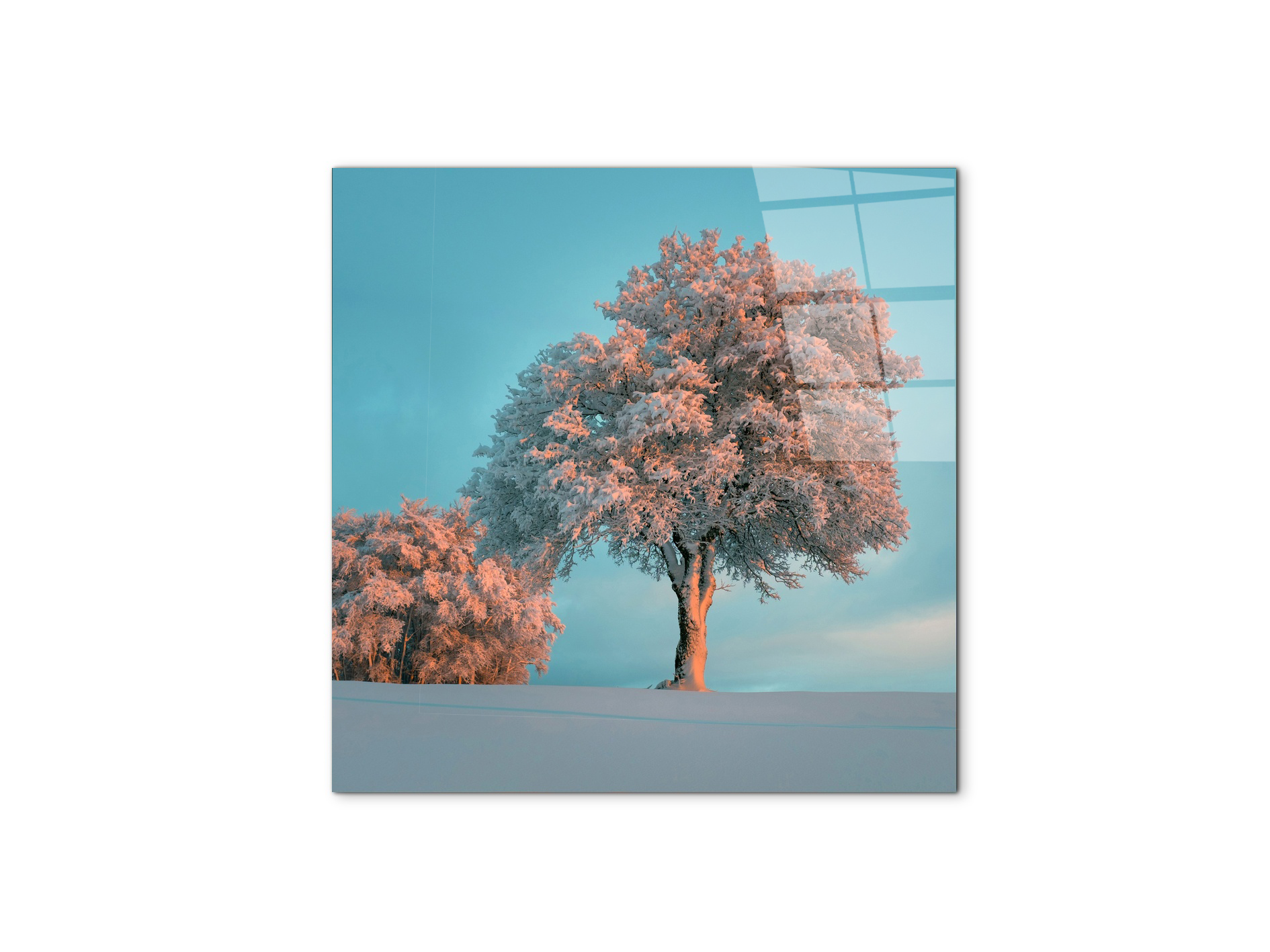 tree-in-the-snowas92448-#materiale_CrystalArt/dimensioni_58x58