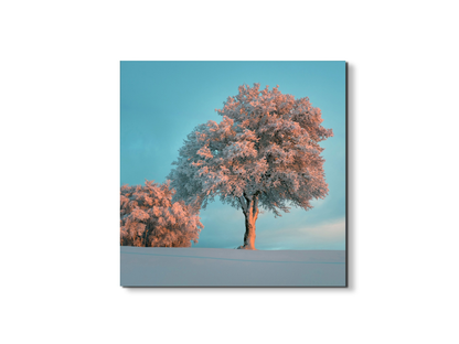 tree-in-the-snowas92448-#materiale_EarthArt Materic/dimensioni_58x58