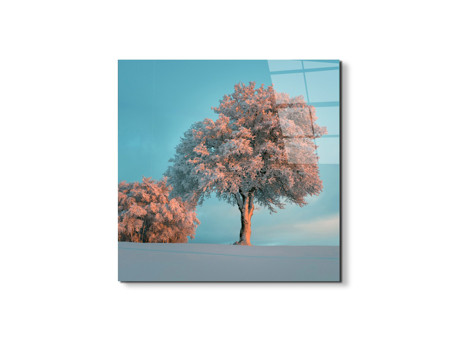 tree-in-the-snowas92448-#materiale_EarthArt Total Gloss/dimensioni_58x58