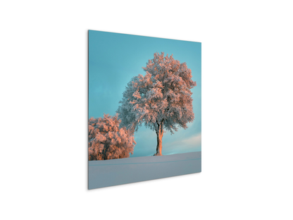 tree-in-the-snowas92448-#materiale_MetalArt Materic/dimensioni_58x58
