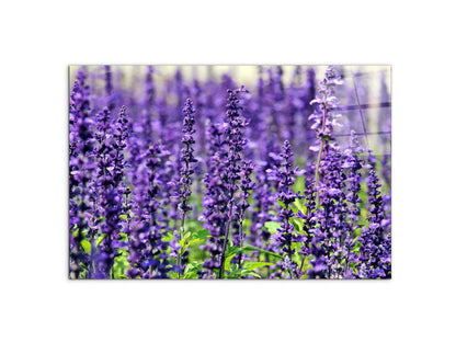violetas92453-#materiale_CrystalArt/dimensioni_79,5x53