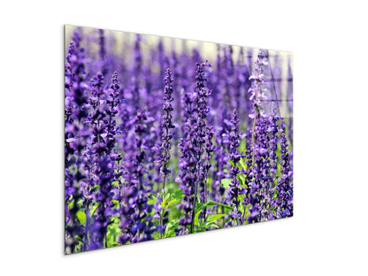 violetas92453-#materiale_CrystalArt/dimensioni_79,5x53