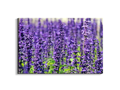 violetas92453-#materiale_EarthArt Materic/dimensioni_79,5x53